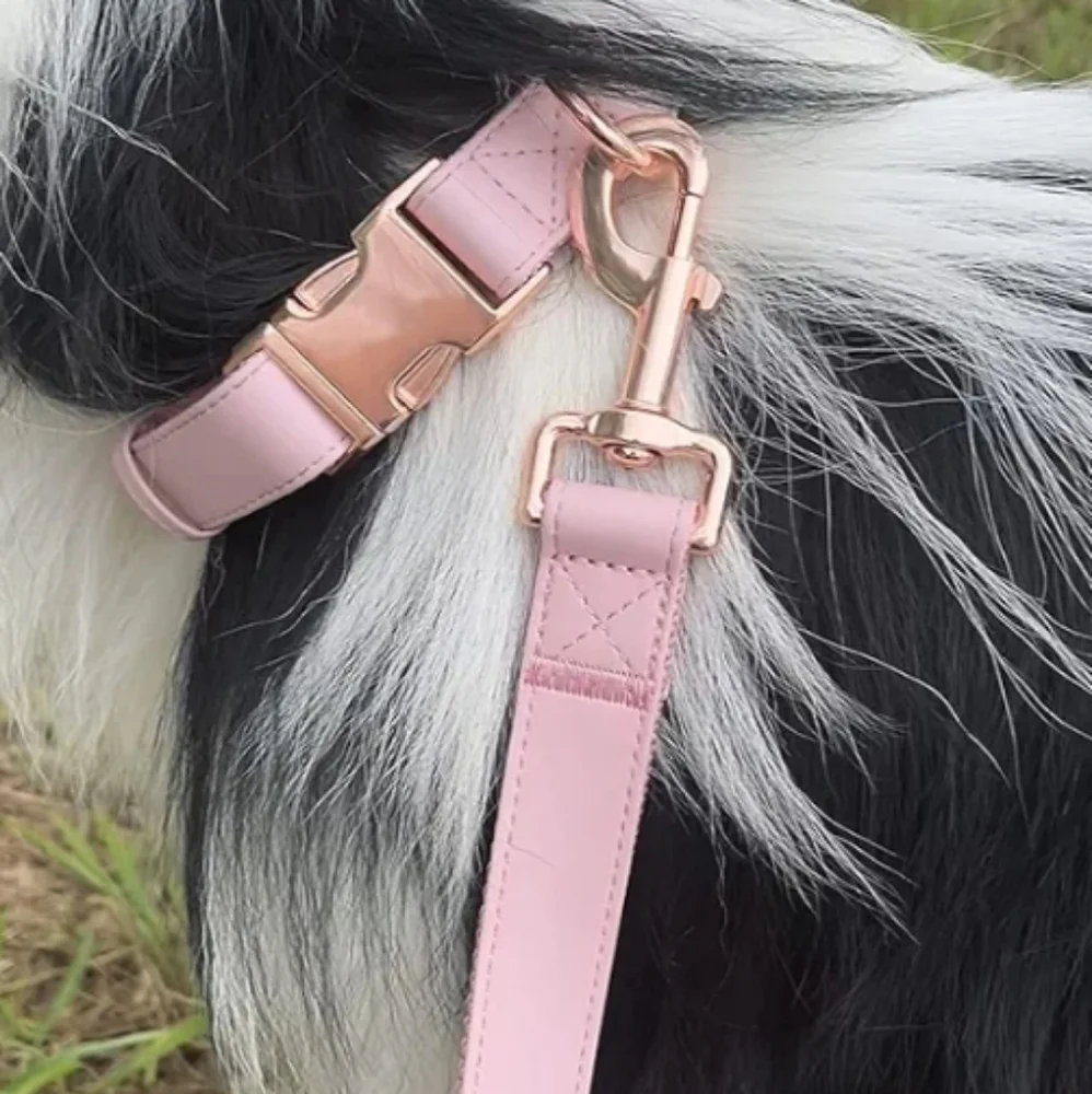 Pink Vegan Leather Dog Collar And Leash Set